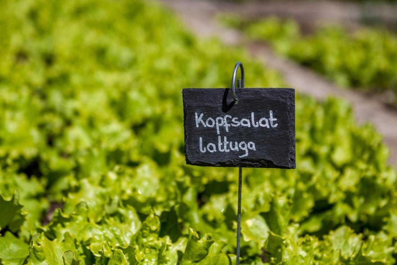Schildhof Ebion Schildhofsuite San Leonhard in Passeier Exteriör bild